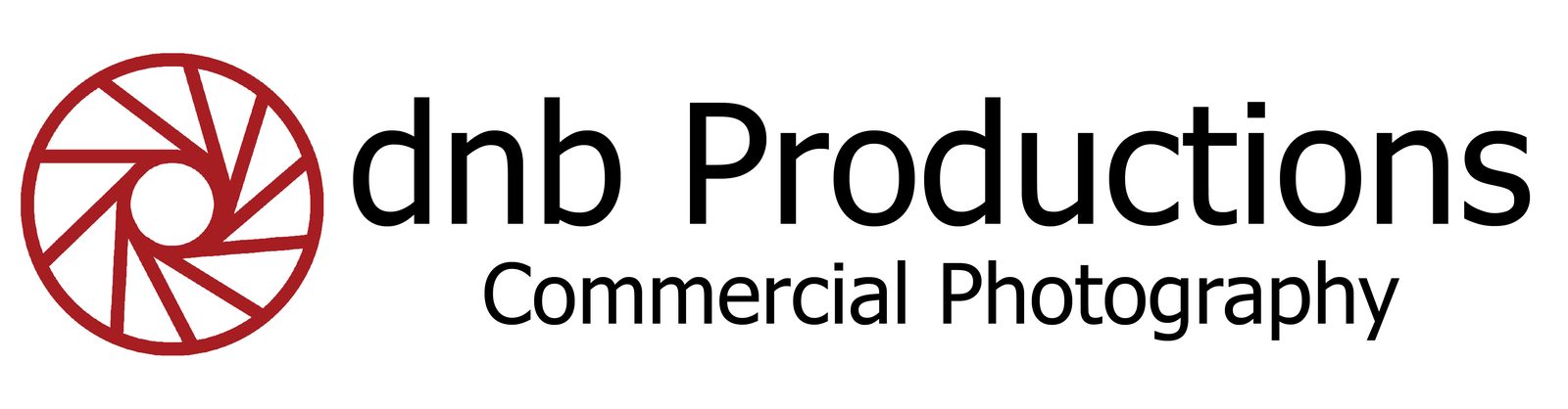 DNB Productions logo
