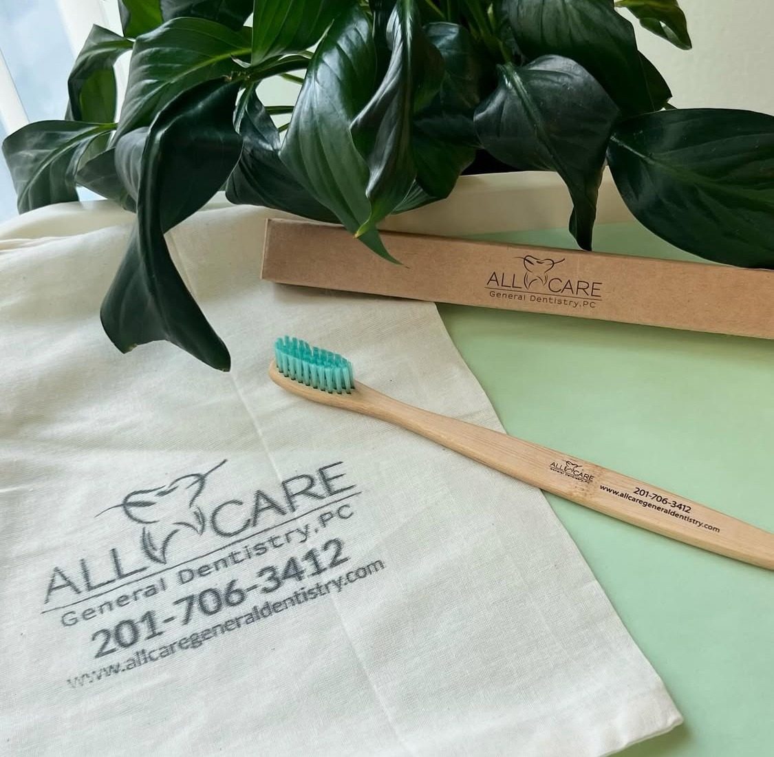 A bamboo toothbrush, its kraft box and a cotton pouch printed with the All Care General Dentistry logo, phone number and website, beside a green plant
