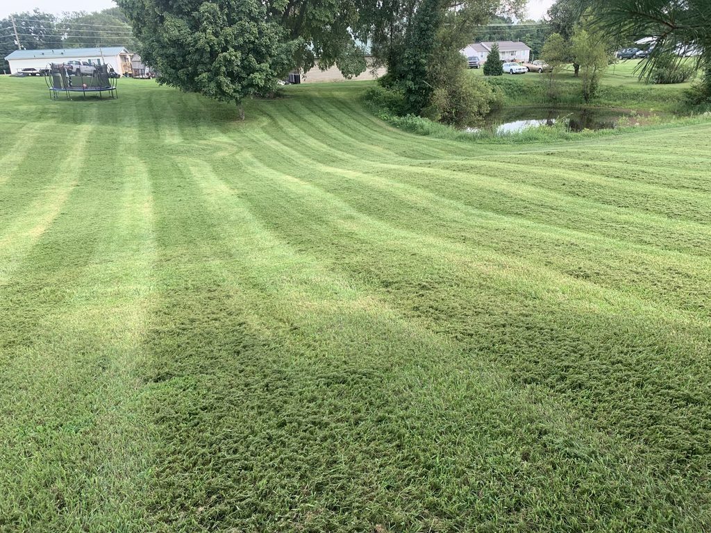 A freshly mowed lawn with clean stripes beside a pond, cut by Martin's Property Solutions