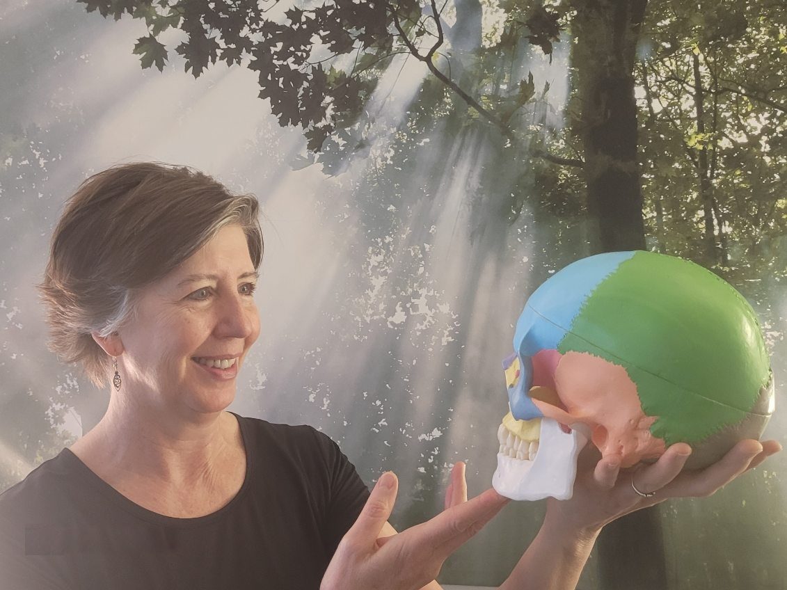 Rachel Tobler holding up a colour-coded model of a human skull in front of a forest backdrop