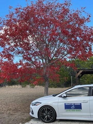 A Ready Set Shine company car under a red autumn tree